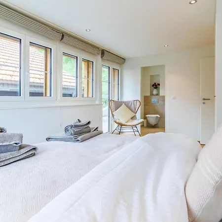 Alpenheim 1 * 翁根